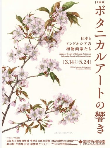 ボタニカルアートの響き 日本とインドネシアの植物画家たち展 に堀口