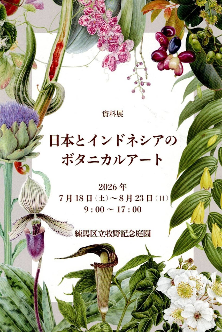 資料展 日本とインドネシアのボタニカルアート に堀口美貴先生が出展