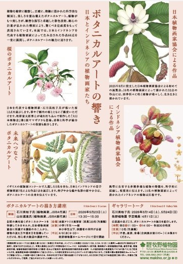 ボタニカルアートの響き 日本とインドネシアの植物画家たち展 に堀口